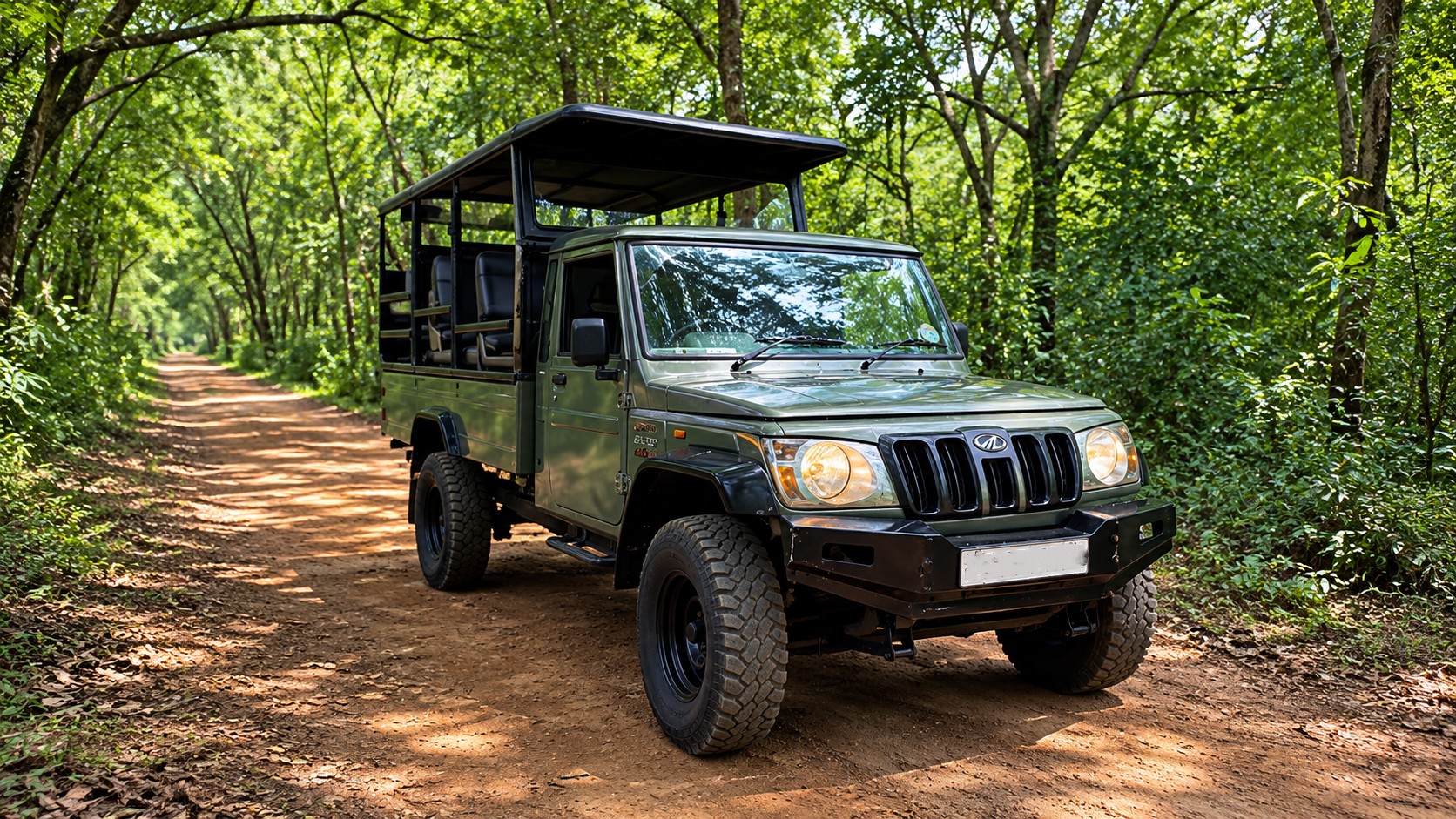 Early Morning Wildlife Safari